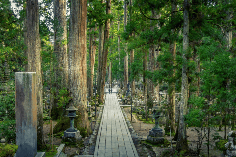 Från Osaka/Kyoto: Mount Koya &amp; Wakayama TourMed Nachi vattenfall