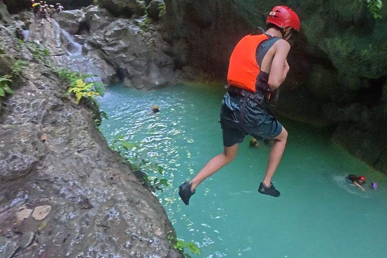 Cebu: Oslob valhajsskådning Canyoneering privat upphämtning