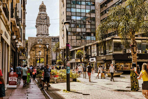 Montevideo for Cruise Passengers: Half-Day Tour of the Top Attractions Montevideo Express for Cruise Passengers: Culture and Local Experiences