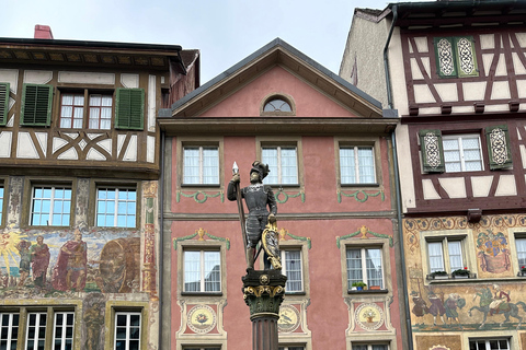 From Zurich: Private Tour to Rheinfalls and Stein am Rhein