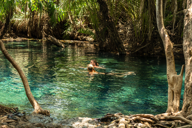 Arusha stad, Chemka HotSpring, Materuni waterval, koffietour