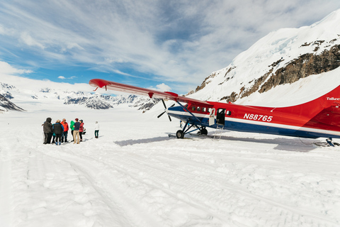 Talkeetna: Grand Denali Flight with Optional Glacier Landing Flight Only