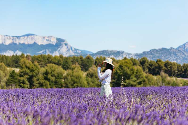 lavender tour nice