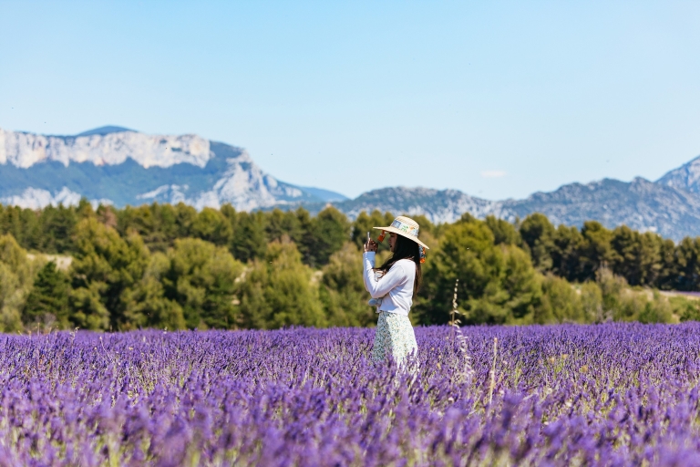 Nice: Gorges of Verdon en Fields of Lavender TourGorges of the Verdon en Fields of Lavender Private Tour