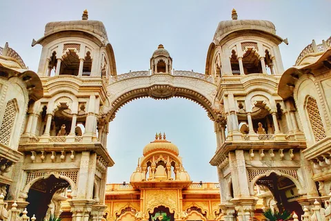 From Delhi: 1-day trip Mathura with Elephant conservation