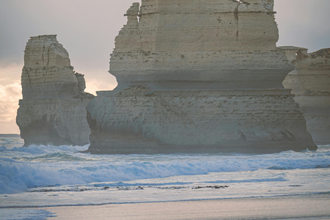 GREAT OCEAN ROAD [5 PPL ONLY] Skilled photographer guide 12 APOSTLE GREAT OCEAN ROAD [5 PPL ONLY] 6 HRS FREE TIME