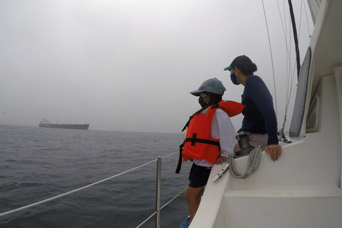 Marina Del Rey: 2 uur privé catamarantour door de jachthaven