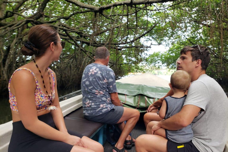 Bentota Boat Safari Experience – Nature Wildlife Relaxation