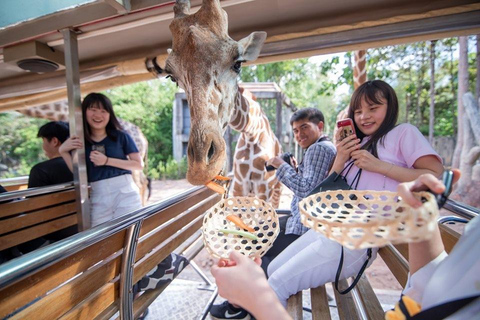 Chiang Mai: Night Safari Entry Ticket Entry Ticket + One Tram Ride