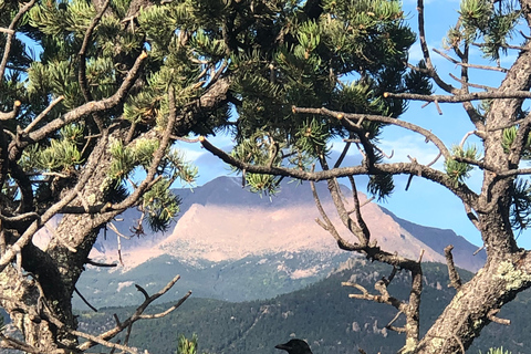 Colorado Springs: Garden of the Gods & Historic Town Tour