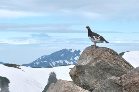 Day Tour from Kanazawa/Toyama: Snow Wall & Mysterious Valley Join from Kanazawa Station