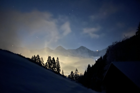 Interlaken: Night Sledding & Fondue Dinner with Guide