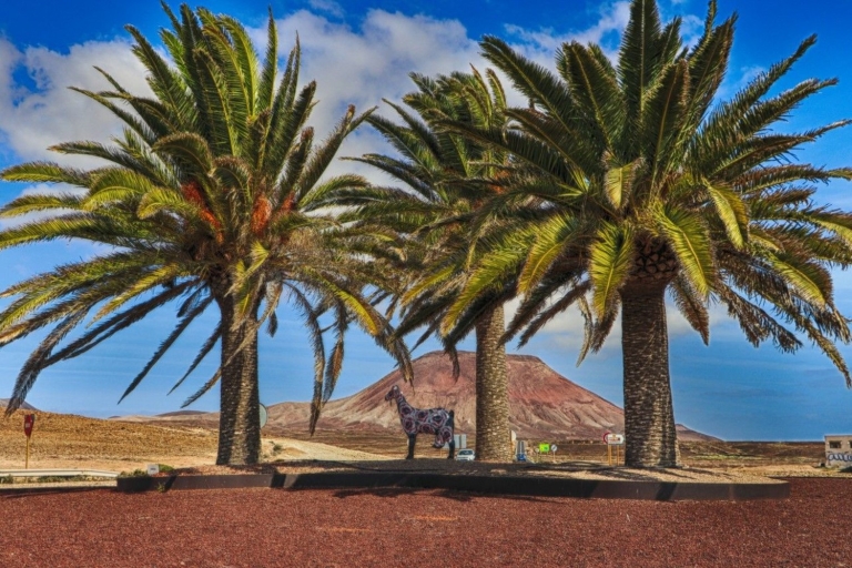 Fuerteventura: Island Flavours-dagtour met lunch
