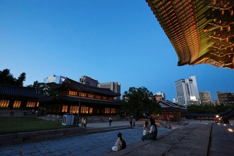 Seoul: nachttour naar Deoksugungpaleis en fort van Seoul