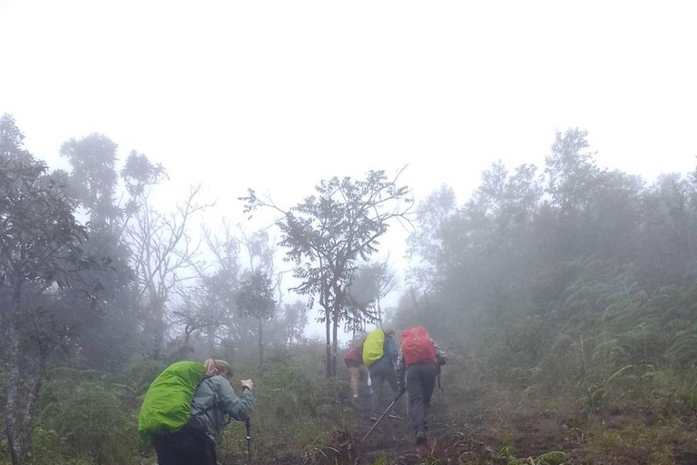 مغامرة لمدة 2-3 أيام في شيانغ ماي: قبائل التلال والفيلة والنهر2 أيام 1 ليلة واحدة: الحياة المحلية ورعا