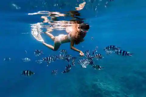 Zanzibar: Blue Lagoon Snorkeling & Starfish Experience