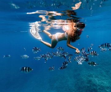 Zanzibar: Mergulho com snorkel na Lagoa Azul e experiência com estrelas-do-mar