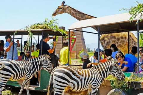 Depuis Santiago : Safari Park, une expérience sauvagePoint de rencontre : Encomenderos 260, Las Condes