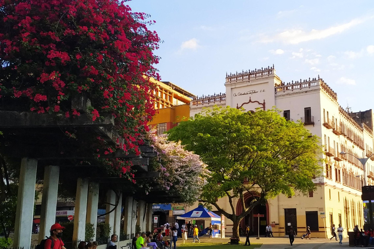 Cali City Tour Safe, Comfortable and Authentic Culture