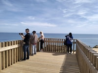 Lagos, Tour Private Lagos & Sagres - Housity