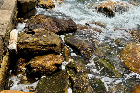 Sydney: city tour particular pelo porto e por Bondi com transferSydney: Excursão particular pela cidade, pelo porto e por Bondi com transporte