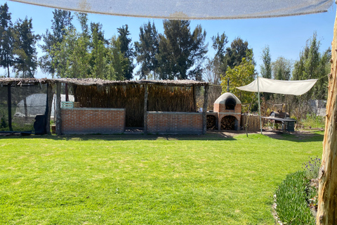 Xochimilco: Eco-tour gastronomico