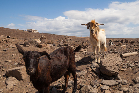 Fuerteventura: Magiczne Cofete i Morro Jable