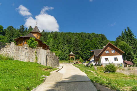From Brașov: Piatra Craiului National Park Guided Hike