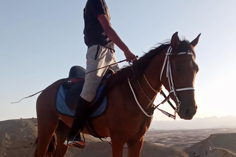 Makadi Bay: ATV, Horse, and Camel Ride Tour