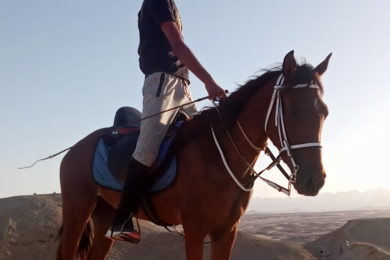 Makadi Bay: ATV, Horse, and Camel Ride Tour