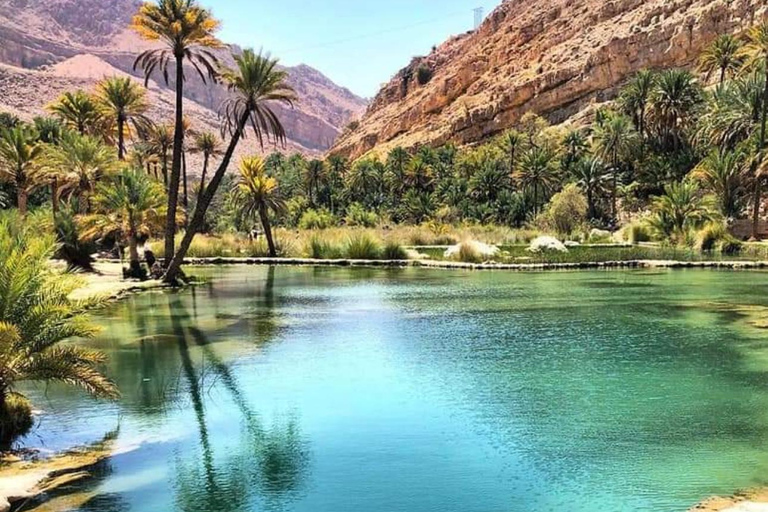 Muscat: Deserto di Wahiba e Wadi Bani Khalid Tour di un giorno intero + pranzo