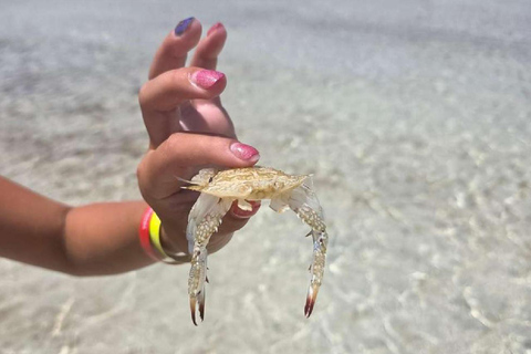 Djerba: Hessi Jerbi Day Trip with Boat Ride & Lunch