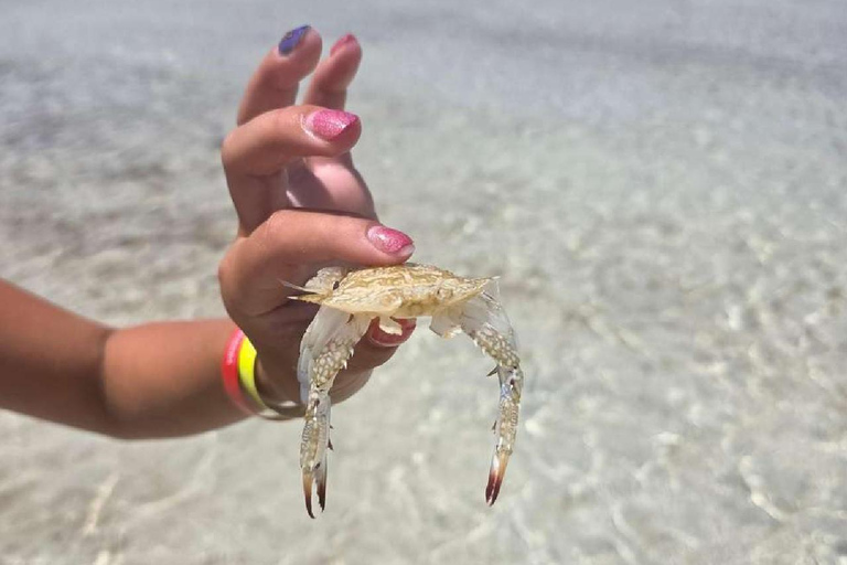 Djerba: Hessi Jerbi Day Trip with Boat Ride & Lunch