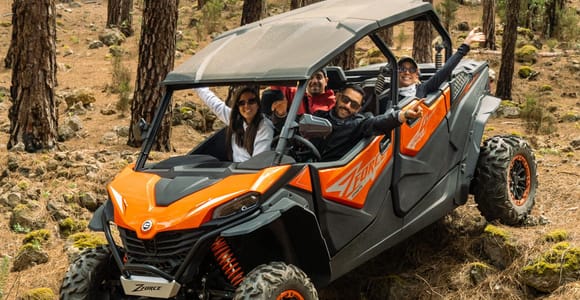 Puerto de la Cruz: Buggy Tour