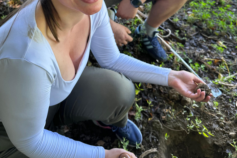 Truffle Hunting in San Gimignano opz1