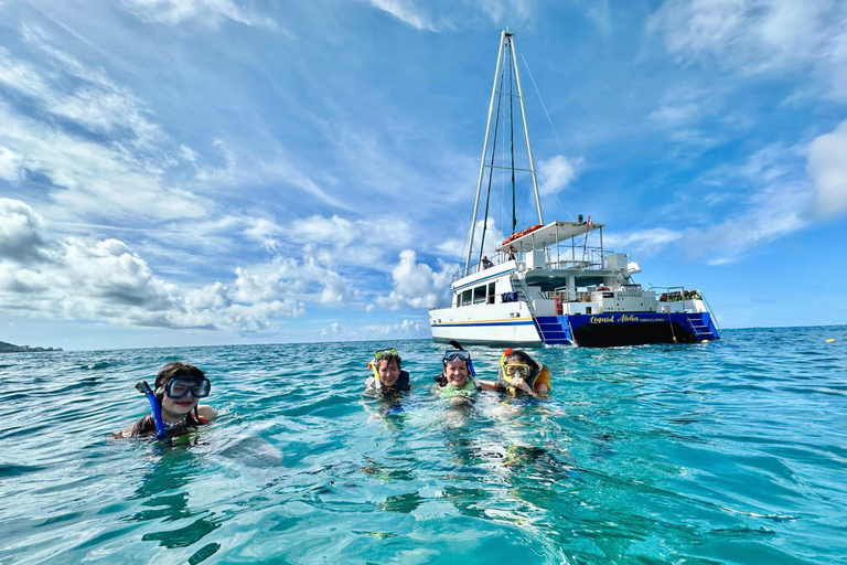 مغامرة الغوص مع سلحفاة وايكيكي