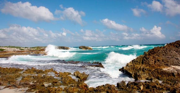 Cozumel: Private Jeep, San Gervasio & Tequila Tasting