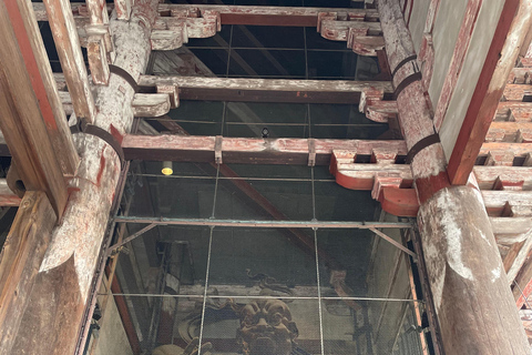 Nara: Halvdag med lokal guide – Big Buddha, hjort, helgedom, skogNara: Halvdag lokal guide- Stora Buddha, hjort, helgedom, skog