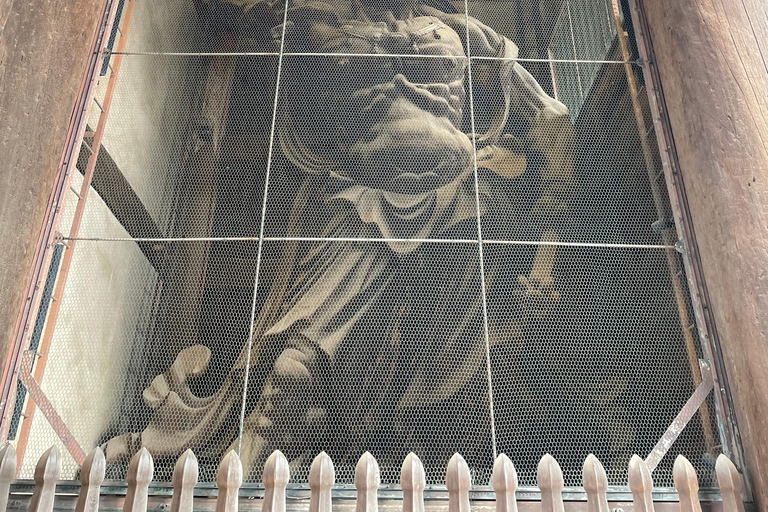 Nara: Halvdag med lokal guide – Big Buddha, hjort, helgedom, skogNara: Halvdag lokal guide- Stora Buddha, hjort, helgedom, skog