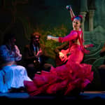 Granada: spettacolo di flamenco 