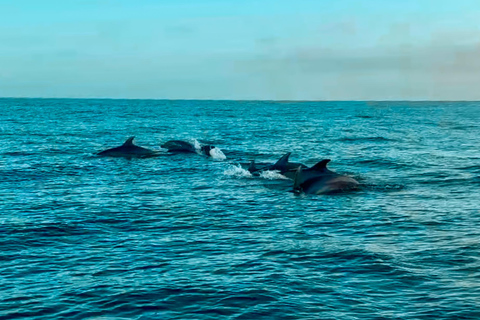 Benalmádena Catamaran Sightseeing Tour: Tapas Food Tasting, Drinks, Swimming & Dolphins Benalmádena Catamaran Tour: Tapas Tasting, Drinks, Swimming, and Dolphins