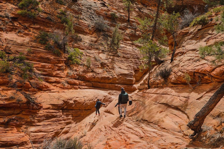Kanab: Coral Pink Sand Dunes UTV, Slot Canyon & Sand Surfing