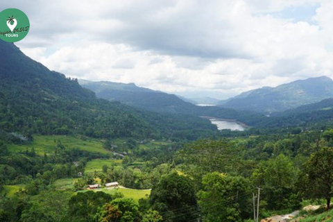 Kandy: Nuwara Eliya Tag Erkundung per Tuk Tuk mit ortskundigem Guide