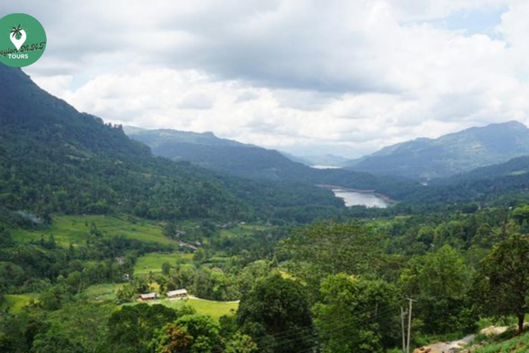 Kandy: Nuwara Eliya Tag Erkundung per Tuk Tuk mit ortskundigem Guide