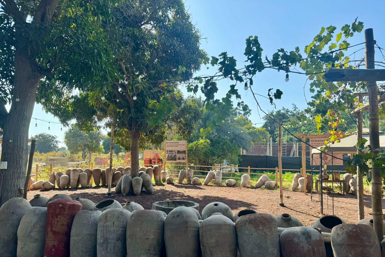 From Lima: Full Day Private All Inclusive Paracas, Ica.