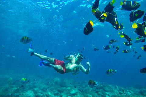 Vallarta: Yelapa Waterfall & Majahuitas Snorkel Adventure