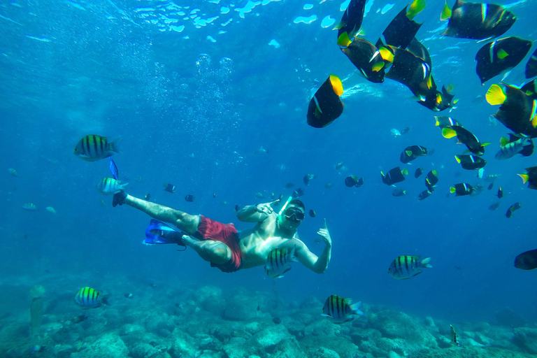 Vallarta: Yelapa Waterfall & Majahuitas Snorkel Adventure