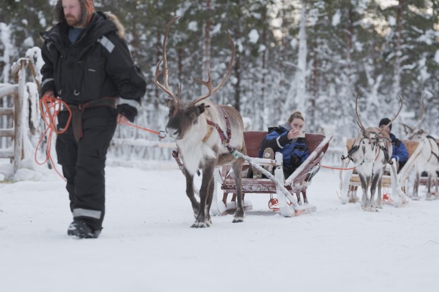 Visit Levi Lappish Village Experience and Reindeer Sled Ride in Levi, Finland