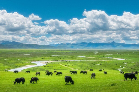 Lijiang: Yulong Snow Mountain, Blue Moon Valley & Show Yakniuping Cableway + "Impression Lijiang" live performance