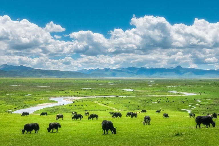 Lijiang: Yulong Snow Mountain, Blue Moon Valley & Show Yakniuping Cableway + "Impression Lijiang" live performance